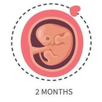 Month 2